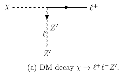 Grok 3: A Vector-Mediated Dark Matter Decay Theory for
H.E.S.S. Cosmic-Ray Anomalies